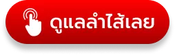 ปุ่มราคาพิเศษ