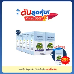เฮฟฟีก้า 10 กล่อง
