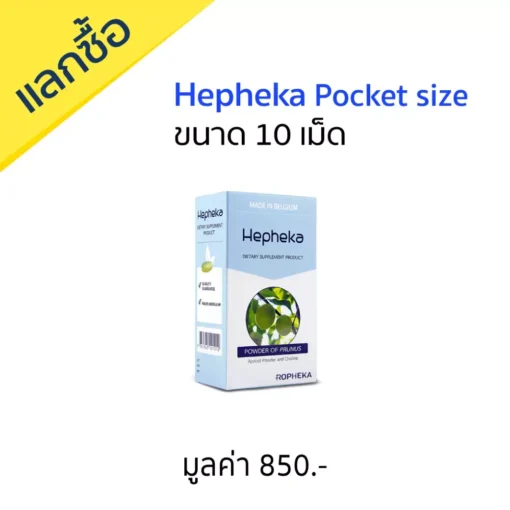 เฮฟฟีก้า Pocket Size