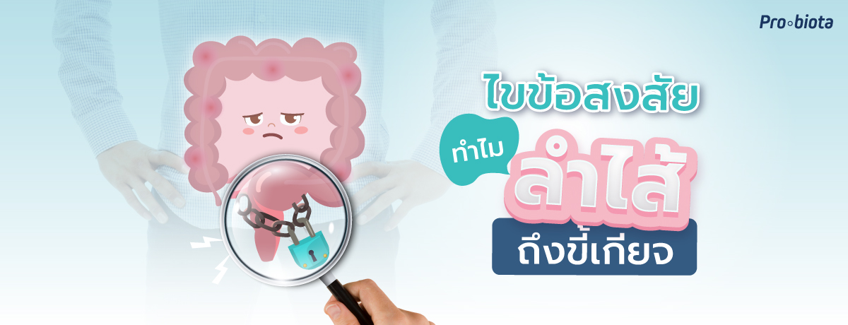 ลำไส้ ขี้เกียจ เป็นเพราะอะไรมาไขข้อสงสัยกัน