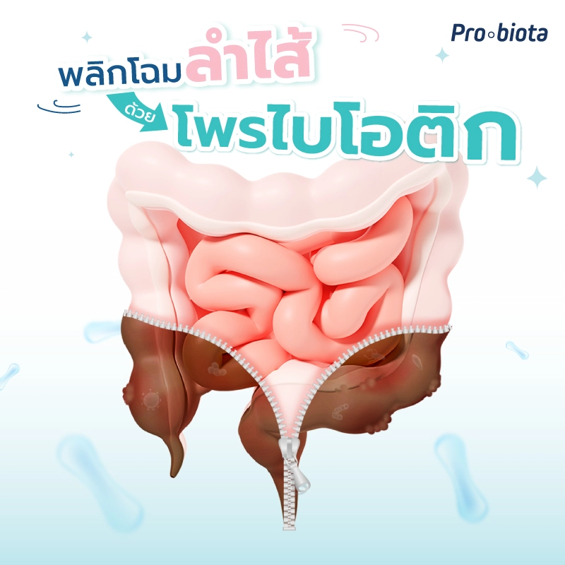 ฟื้นฟูลำไส้ ด้วยโพรไบโอติก