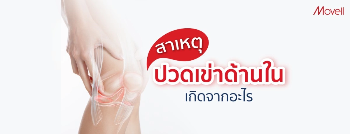 สาเหตุ ปวดเข่าด้านใน เกิดจากอะไรแน่