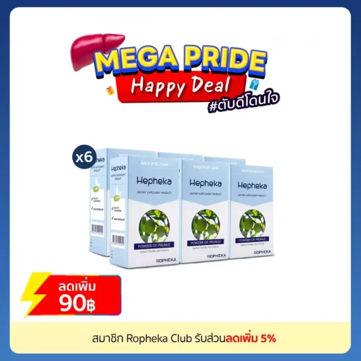 Mega Pride Happy Deal Pack Web H6