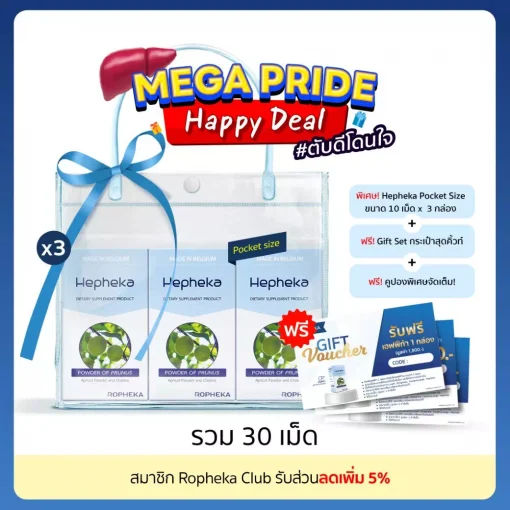 Mega Pride Happy Deal Pack Web HP3 Value Pack Pocket