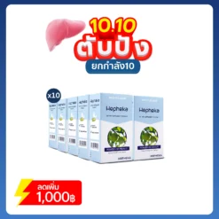 เฮฟฟีก้า 10 กล่อง