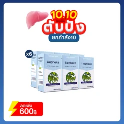 เฮฟฟีก้า 6 กล่อง