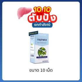 เฮฟฟีก้า Pocket Size