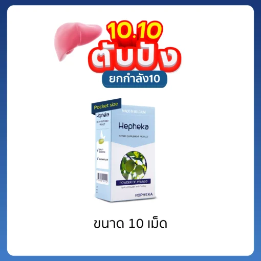 เฮฟฟีก้า Pocket Size