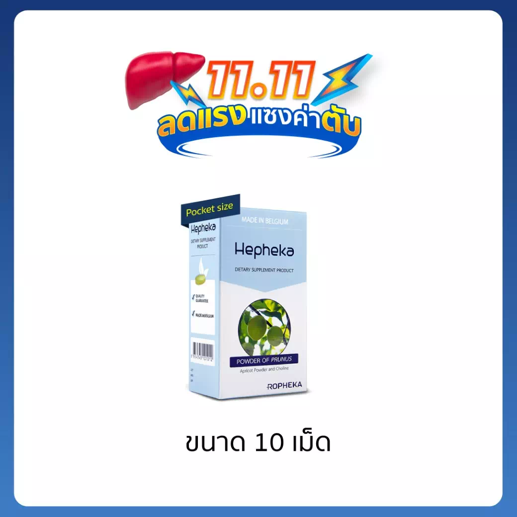 เฮฟฟีก้า Pocket Size