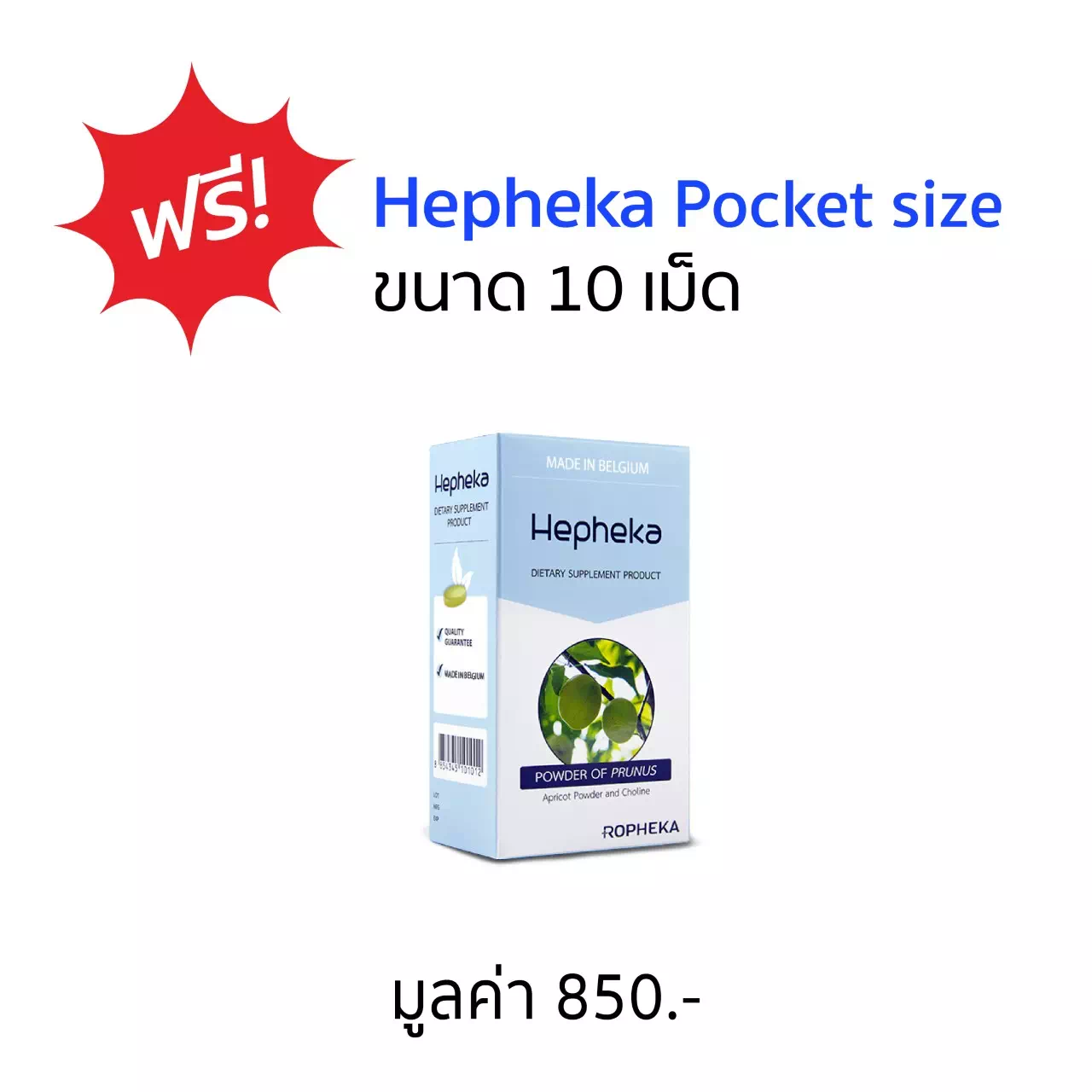 เฮฟฟีก้า Pocket Size