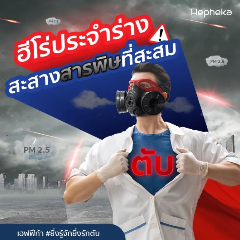 ฮีโร่ประจำร่าง สะสางสารพิษที่สะสม