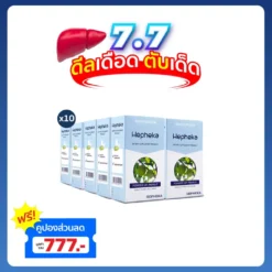 เฮฟฟีก้า 10 กล่อง
