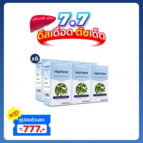 เฮฟฟีก้า 6 กล่อง