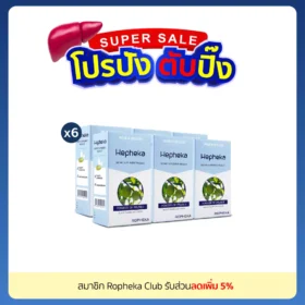 เฮฟฟีก้า 6 กล่อง