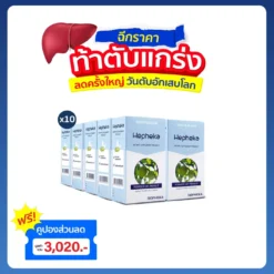 เฮฟฟีก้า 10 กล่อง