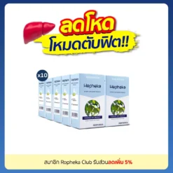 เฮฟฟีก้า 10 กล่อง