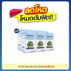เฮฟฟีก้า 6 กล่อง