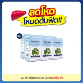 เฮฟฟีก้า 6 กล่อง