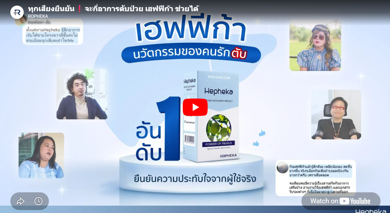 วิดีโอแนะนำ Hepheka